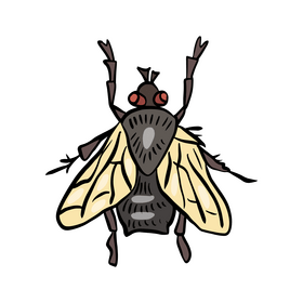 Cartoon fly insect clipart