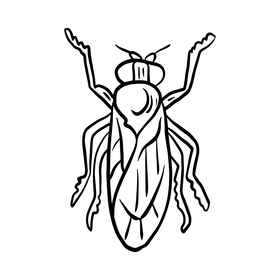 Fly insect drawing black and white clipart