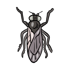 Fly insect drawing clipart