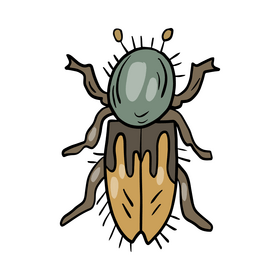 Leaf beetle clipart