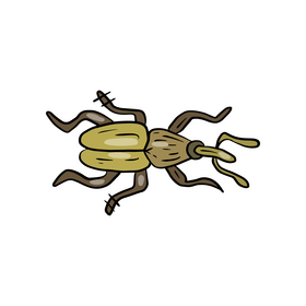 Leaf beetle illustration clipart