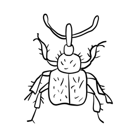 Leaf beetle drawing black and white clipart