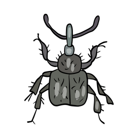 Leaf beetle drawing clipart