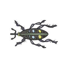 Leaf beetle illustration clipart