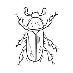 Free leaf beetle black and white clipart