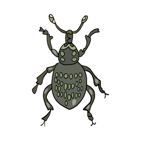 Leaf beetle cartoon clipart