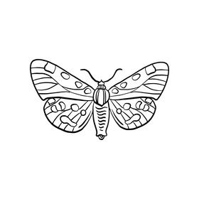 Free butterfly insect black and white clipart