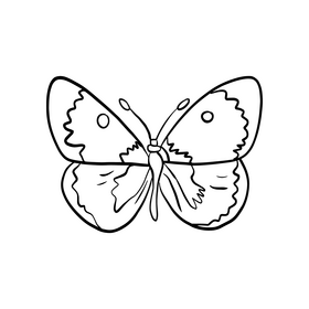 Butterfly black and white clipart