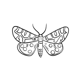 Free butterfly black and white clipart
