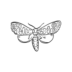 Butterfly illustration black and white clipart