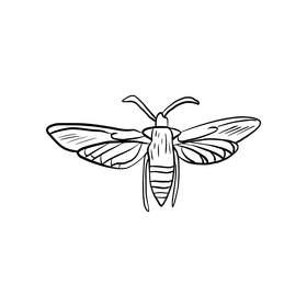 Free butterfly illustration black and white clipart