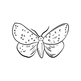 Butterfly drawing black and white clipart