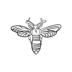 Free butterfly illustration black and white clipart