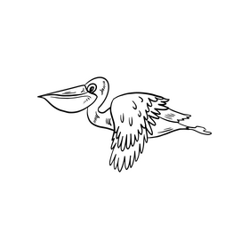 Pelican bird black and white clipart