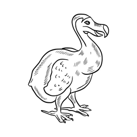 Dodo animal black and white clipart