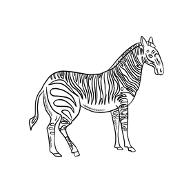 Cute zebra animal drawing black and white clipart