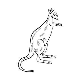 Kangaroo animal black and white clipart
