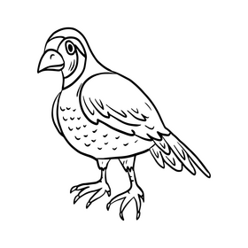 Hawk bird black and white clipart