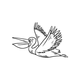 Cartoon Pelican bird illustration black and white clipart