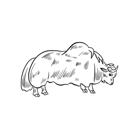 Yak animal black and white clipart
