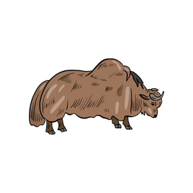Yak animal clipart