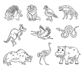 Wild animals black and white vector