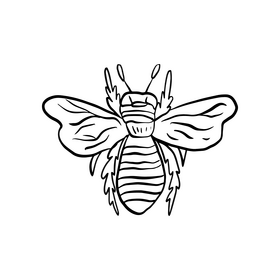 Bee insect cartoon black and white clipart