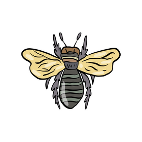 Bee insect cartoon clipart