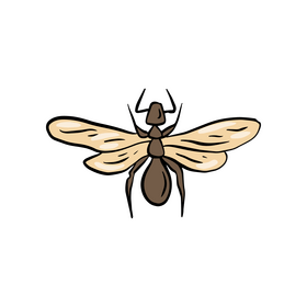 Dragonfly insect cartoon clipart