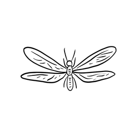 Dragonfly insect cartoon black and white clipart