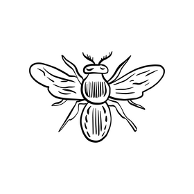 Wasp black and white clipart