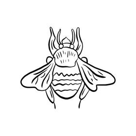 Free bumblebee black and white clipart