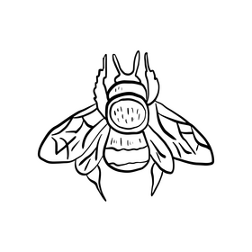 Bumblebee black and white clipart