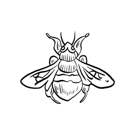 Bumblebee insect black and white clipart
