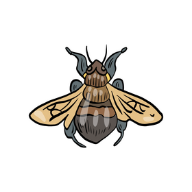 Bumblebee insect clipart