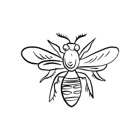 Wasp insect black and white clipart
