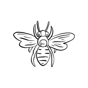 Free wasp insect black and white clipart
