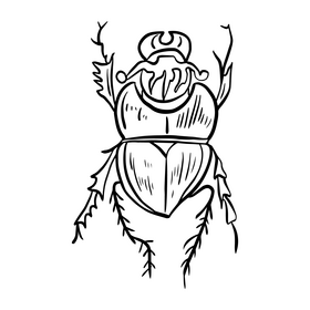 Free beetle insect black and white clipart