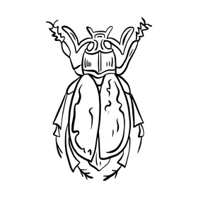 Cartoon beetle insect black and white clipart