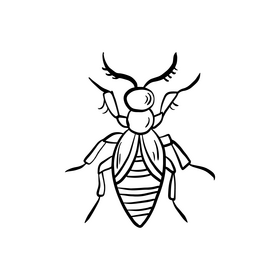 Beetle insect black and white clipart