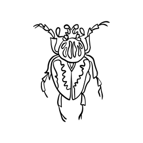 Beetle insect black and white clipart