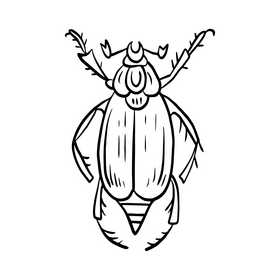 Beetle insect drawing black and white clipart