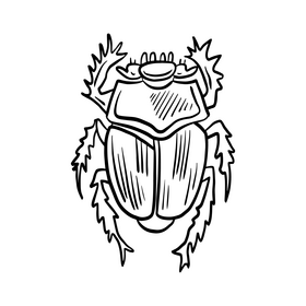 Black beetle drawing black and white clipart