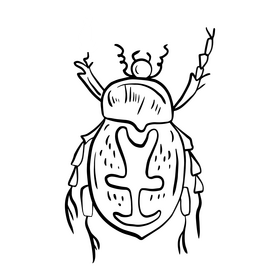 Beetle insect illustration black and white clipart
