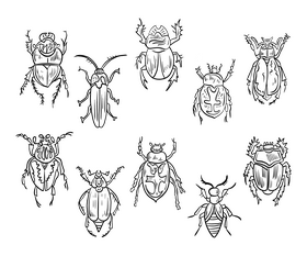 Free beetles black and white vector free download