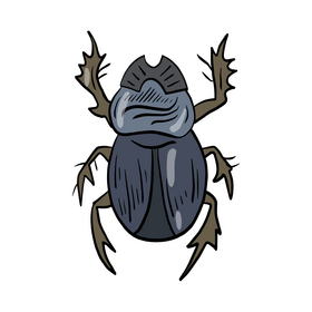 Beetle cartoon clipart vector free download