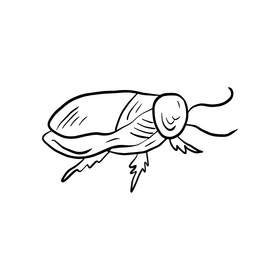 Crawling insect cartoon black and white clipart