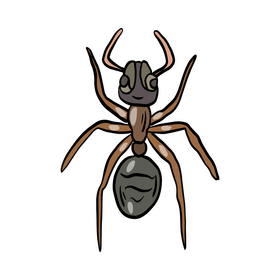 Crawling insect clipart