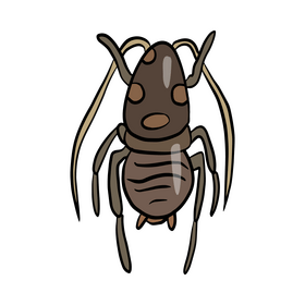 Crawling insect illustration clipart