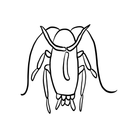 Crawling insect drawing black and white clipart